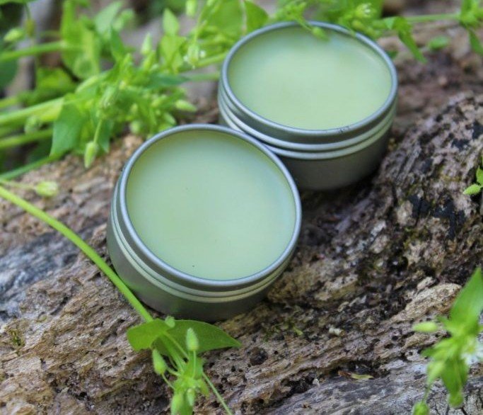 Herbal Lip Balm